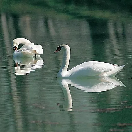 Romantic Countryside Escape * Tordandrea