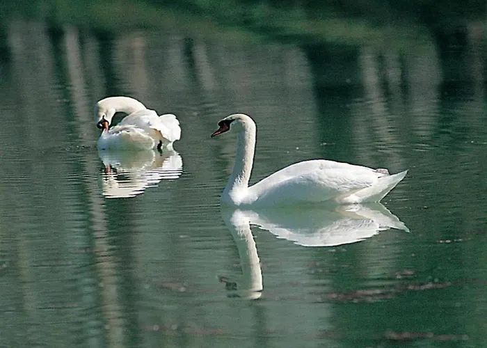 Romantic Countryside Escape * Tordandrea