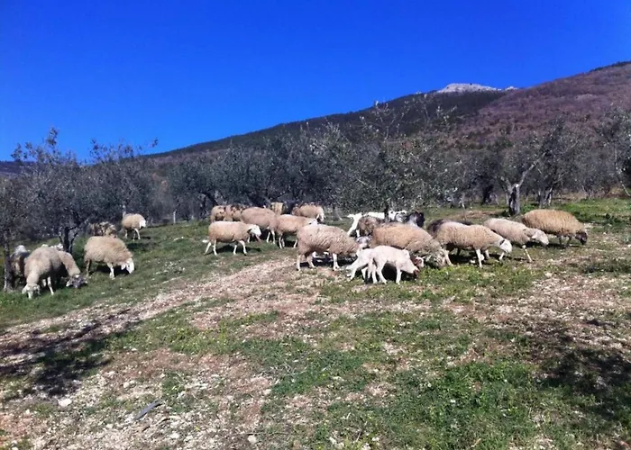 Romantic Countryside Escape Vila *